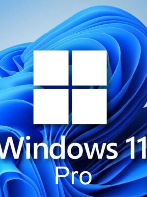 windows 11 pro key